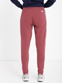 Штаны спортивные The North Face Nse модель NF0A55GS6R41 Фото