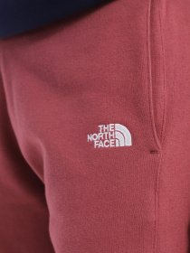 Штаны спортивные The North Face Nse модель NF0A55GS6R41 Фото