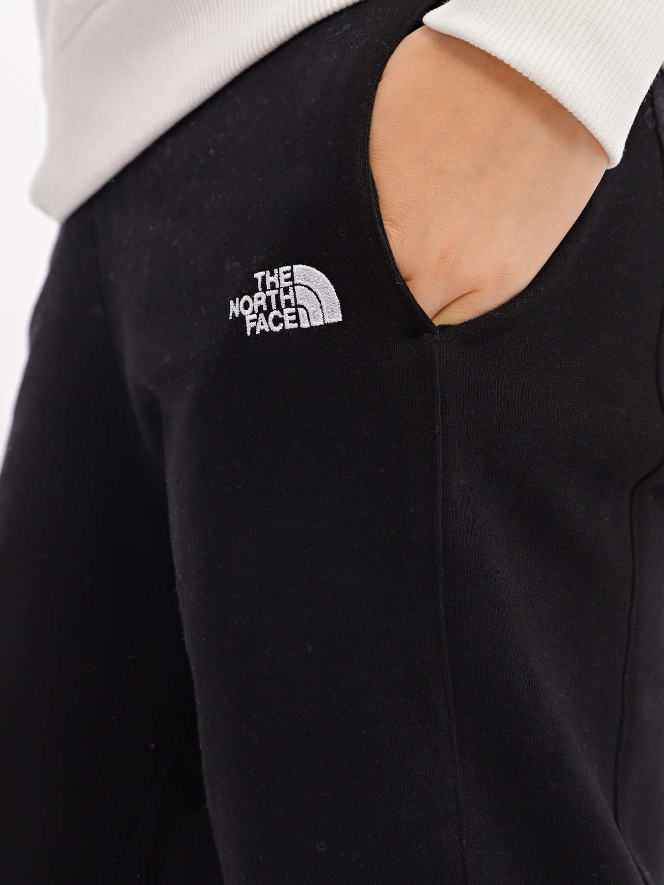 Штаны спортивные The North Face Nse модель NF0A55GSJK31 Фото