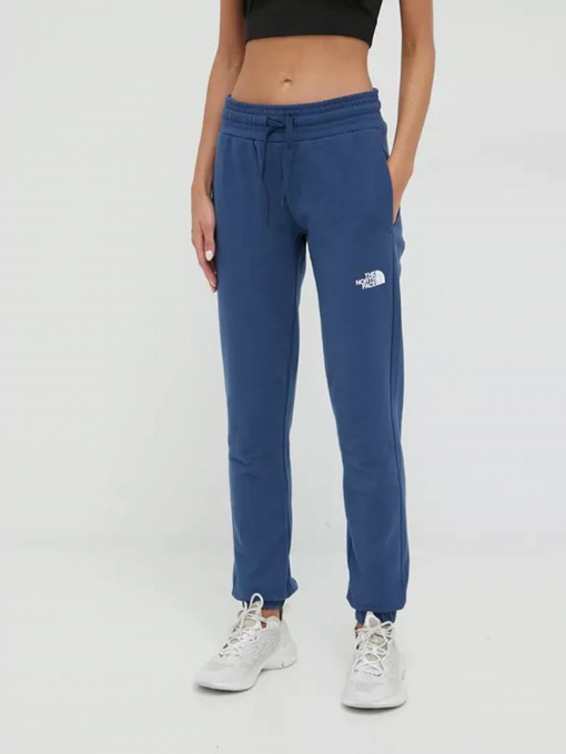 Штаны спортивные The North Face Standard модель NF0A5ID4HDC1 Фото