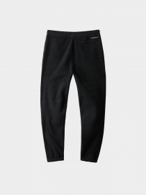 Штаны спортивные The North Face Denali модель NF0A7WXXJK31 Фото