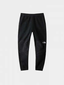 Спортивні штани The North Face Denali модель NF0A7WXXJK31 Фото