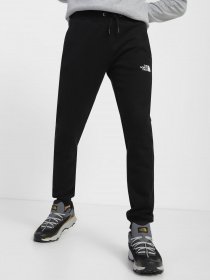 Штаны спортивные The North Face Icon модель NF0A7X1WJK31 Фото