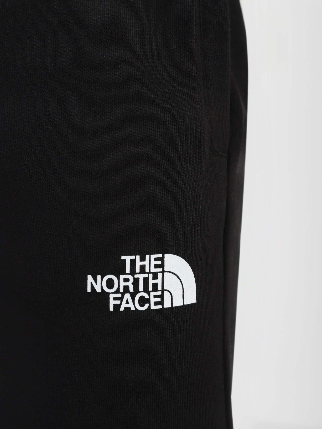 Штаны спортивные The North Face Icon модель NF0A7X1WJK31 Фото