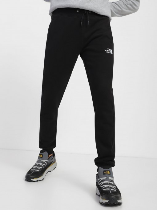 Штаны спортивные The North Face Icon модель NF0A7X1WJK31 Фото