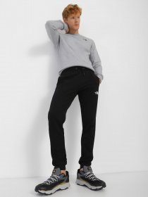 Штаны спортивные The North Face Icon модель NF0A7X1WJK31 Фото