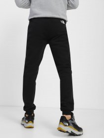 Штаны спортивные The North Face Icon модель NF0A7X1WJK31 Фото