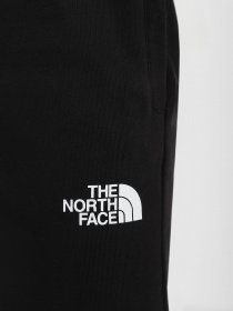 Штаны спортивные The North Face Icon модель NF0A7X1WJK31 Фото