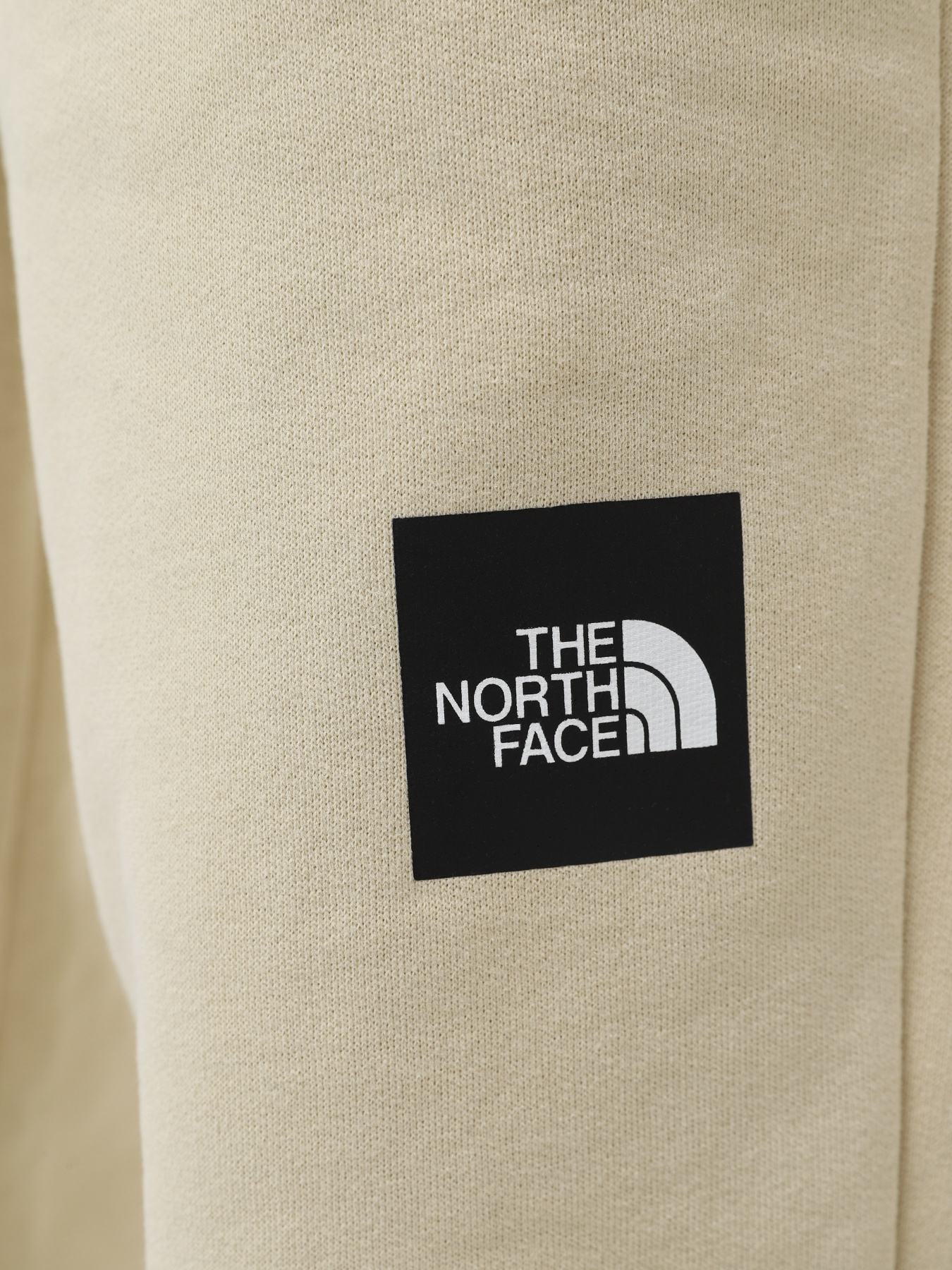 Штаны спортивные The North Face Fine Pant модель NF0A7X3G3X41 Фото