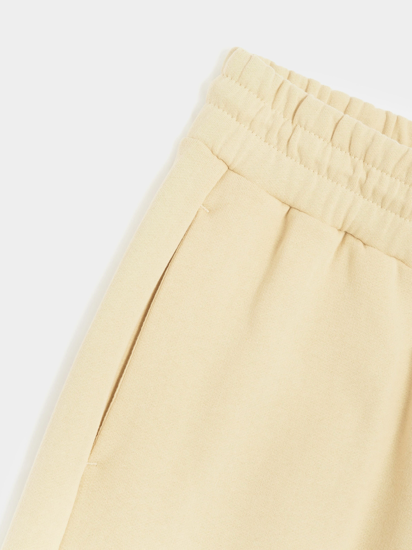 Штаны спортивные The North Face Fine Pant модель NF0A7X3G3X41 Фото