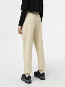 Штаны спортивные The North Face Fine Pant модель NF0A7X3G3X41 Фото