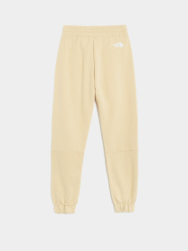 Штаны спортивные The North Face Fine Pant модель NF0A7X3G3X41 Фото