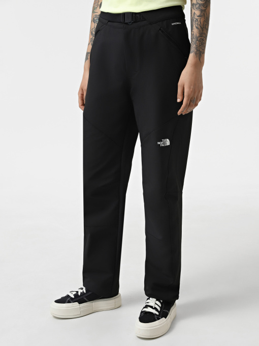 Штаны спортивные The North Face DIABLO REGULAR STRAIGHT модель NF0A7Z89JK31 Фото