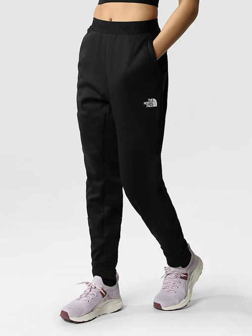 Спортивні штани The North Face Training Fleece модель NF0A7ZAVJK31 Фото