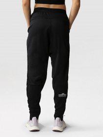 Спортивні штани The North Face Training Fleece модель NF0A7ZAVJK31 Фото