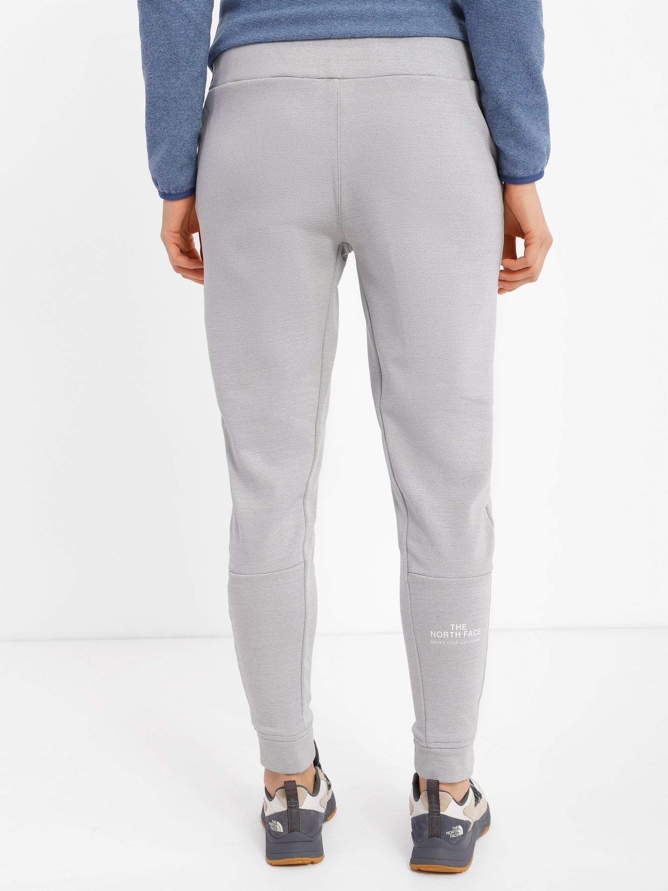 Штаны спортивные The North Face Training Fleece модель NF0A7ZAVDYX1 Фото