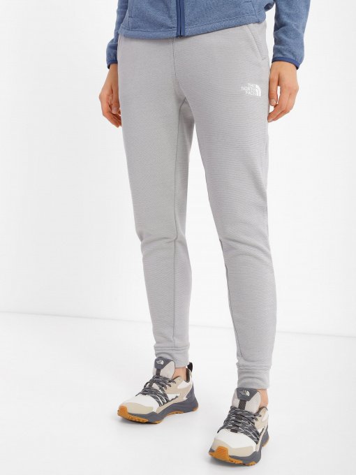 Штаны спортивные The North Face Training Fleece модель NF0A7ZAVDYX1 Фото
