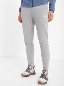 Спортивні штани The North Face Training Fleece модель NF0A7ZAVDYX1 Фото