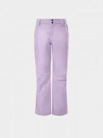 Лыжные штаны The North Face Sally Pant модель NF0A3M5J6S11 Фото