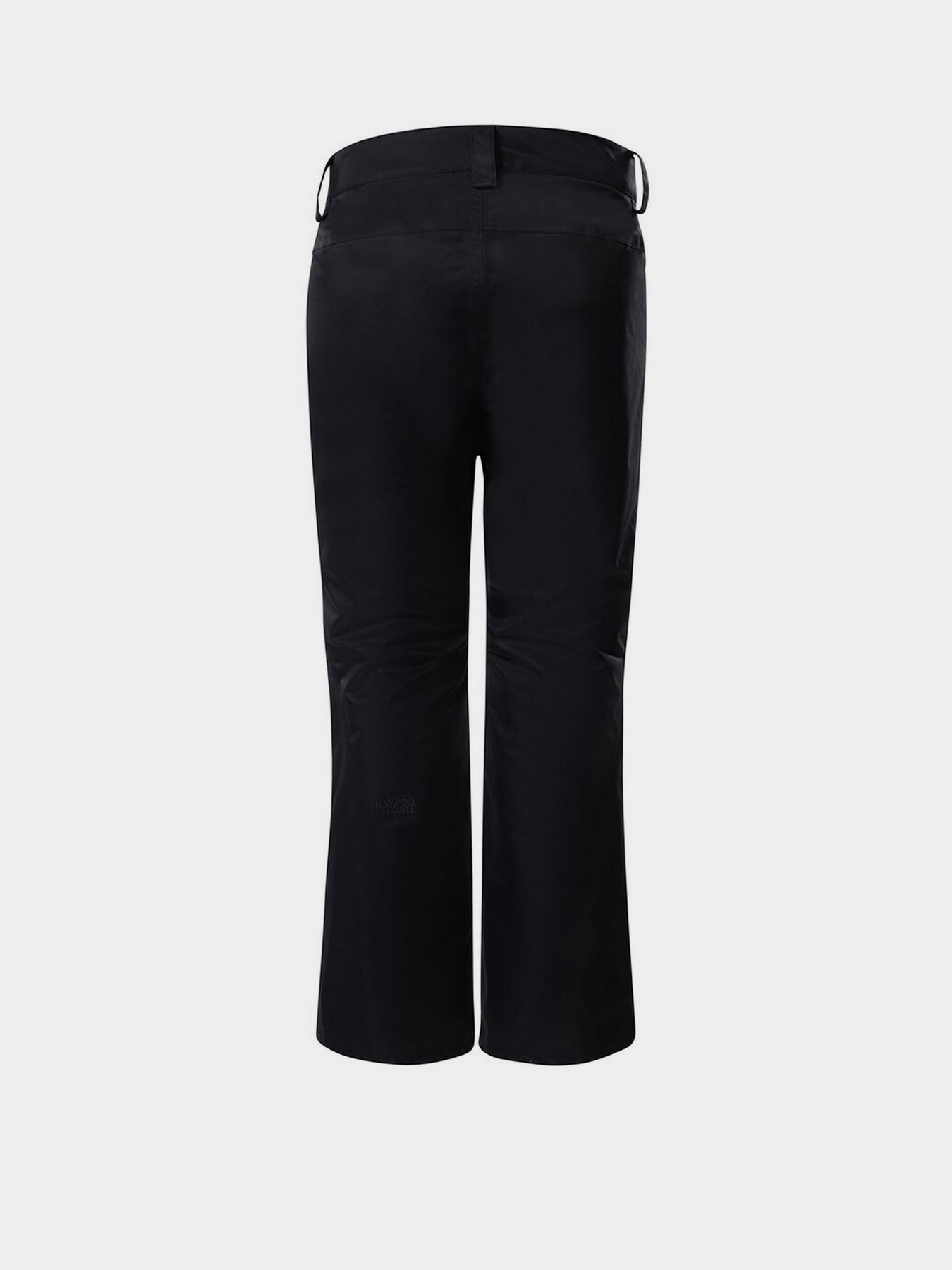 Лыжные штаны The North Face Sally Pant модель NF0A3M5JJK31 Фото