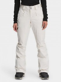 Лыжные штаны The North Face LENADO модель NF0A4R1IN3N1 Фото