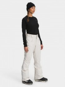 Аутдор и горнолыжные штаны The North Face LENADO модель NF0A4R1IN3N1 Аутдор и горнолыжные штаны The North Face LENADO модель NF0A4R1IN3N1 Фото