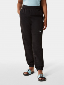 Штаны спортивные The North Face Black Box модель NF0A7R23JK31 Фото