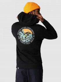 Худи The North Face Seasonal Graphic модель NF0A7X1PJK31 Худи The North Face Seasonal Graphic модель NF0A7X1PJK31 Фото