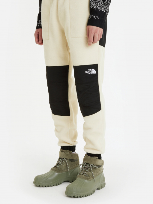 Штаны спортивные The North Face модель NF0A7UR53X41 Фото