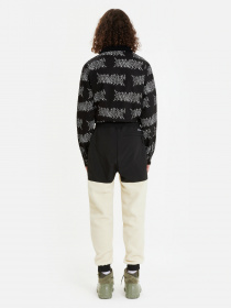 Штаны спортивные The North Face модель NF0A7UR53X41 Фото