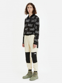 Штаны спортивные The North Face модель NF0A7UR53X41 Фото