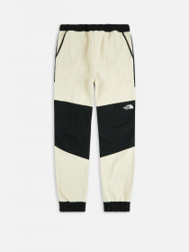 Штаны спортивные The North Face модель NF0A7UR53X41 Фото