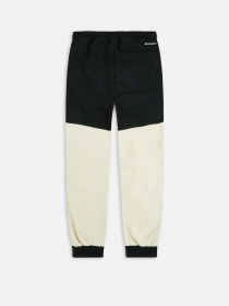 Штаны спортивные The North Face модель NF0A7UR53X41 Фото