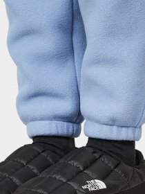 Штаны спортивные The North Face модель NF0A7WXX73A1 Фото