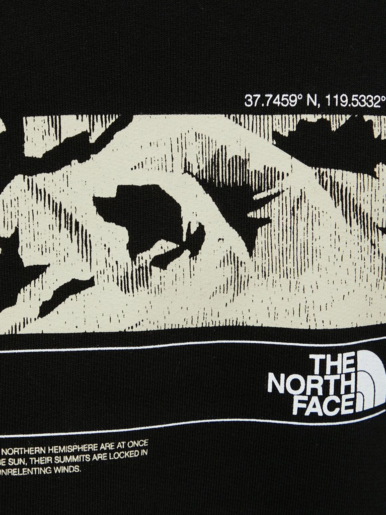 Худи The North Face модель NF0A7ZL8JK31 Фото