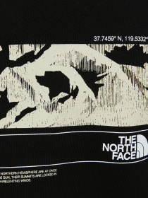 Худи The North Face модель NF0A7ZL8JK31 Фото