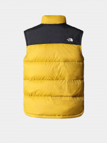 Жилет с утеплителем The North Face Diablo Down Gilet модель NF0A4M9K81U1 Фото