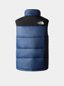 Жилет с утеплителем The North Face Bombay Vest модель NF0A4QZ4HDC1 Фото