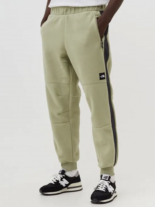 Штаны спортивные The North Face Convin Microfleece модель NF0A7X353X31 Фото