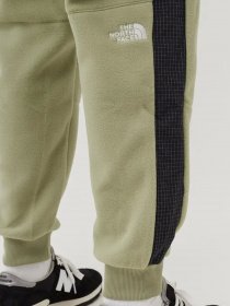 Спортивні штани The North Face Convin Microfleece модель NF0A7X353X31 Фото