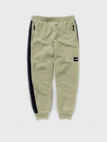 Спортивні штани The North Face Convin Microfleece модель NF0A7X353X31 Фото