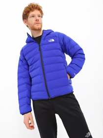 Пуховик The North Face Down Hooded модель NF0A7UQA40S1 Фото