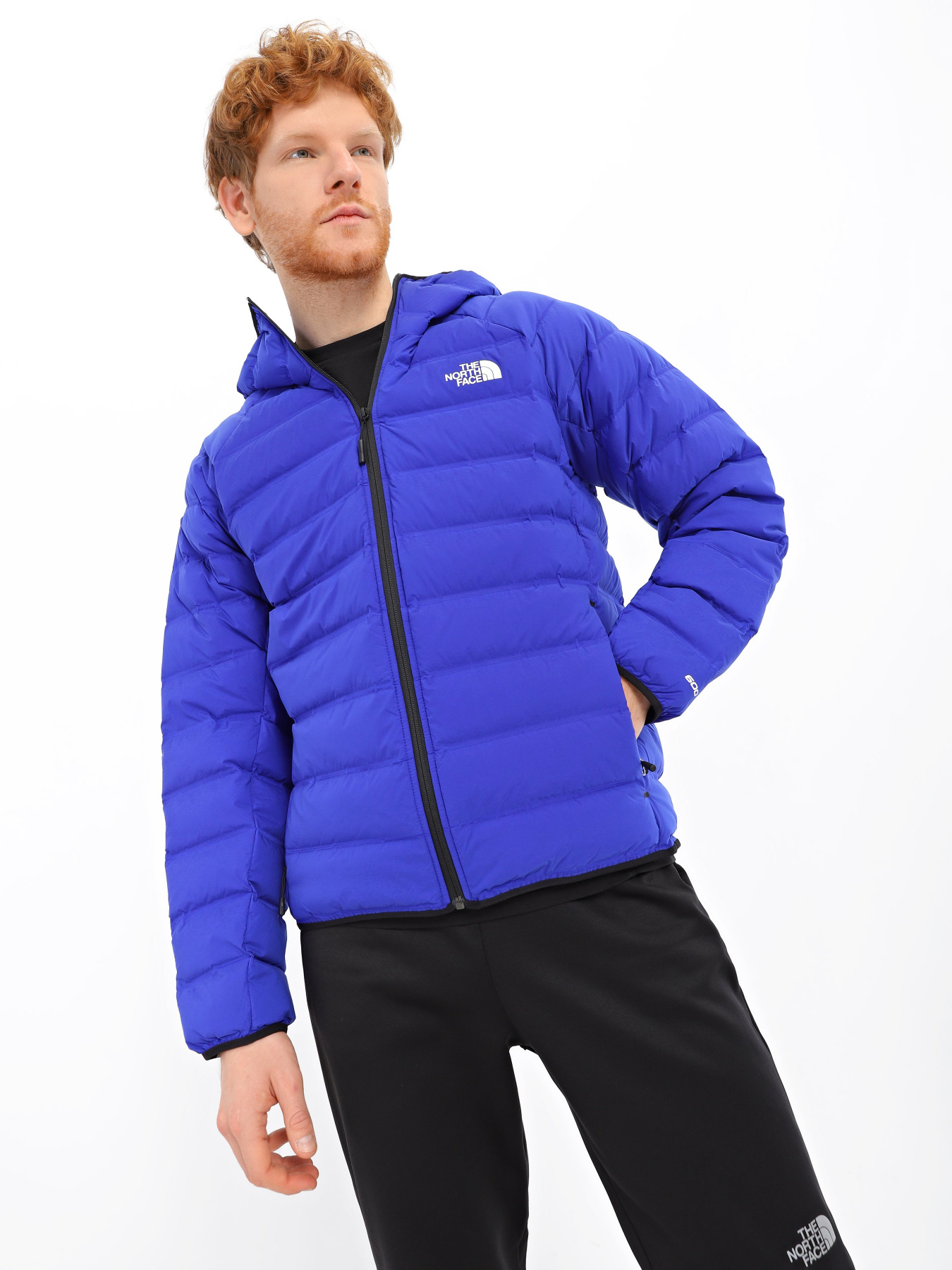 Пуховик The North Face Down Hooded модель NF0A7UQA40S1 Фото