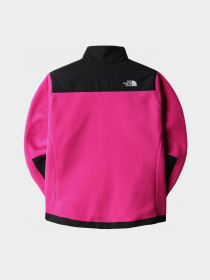 Кофта The North Face Denali модель NF0A7UR61461 Фото