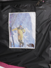 Демісезонна куртка The North Face 86 Retro модель NF0A7UR97481 Фото