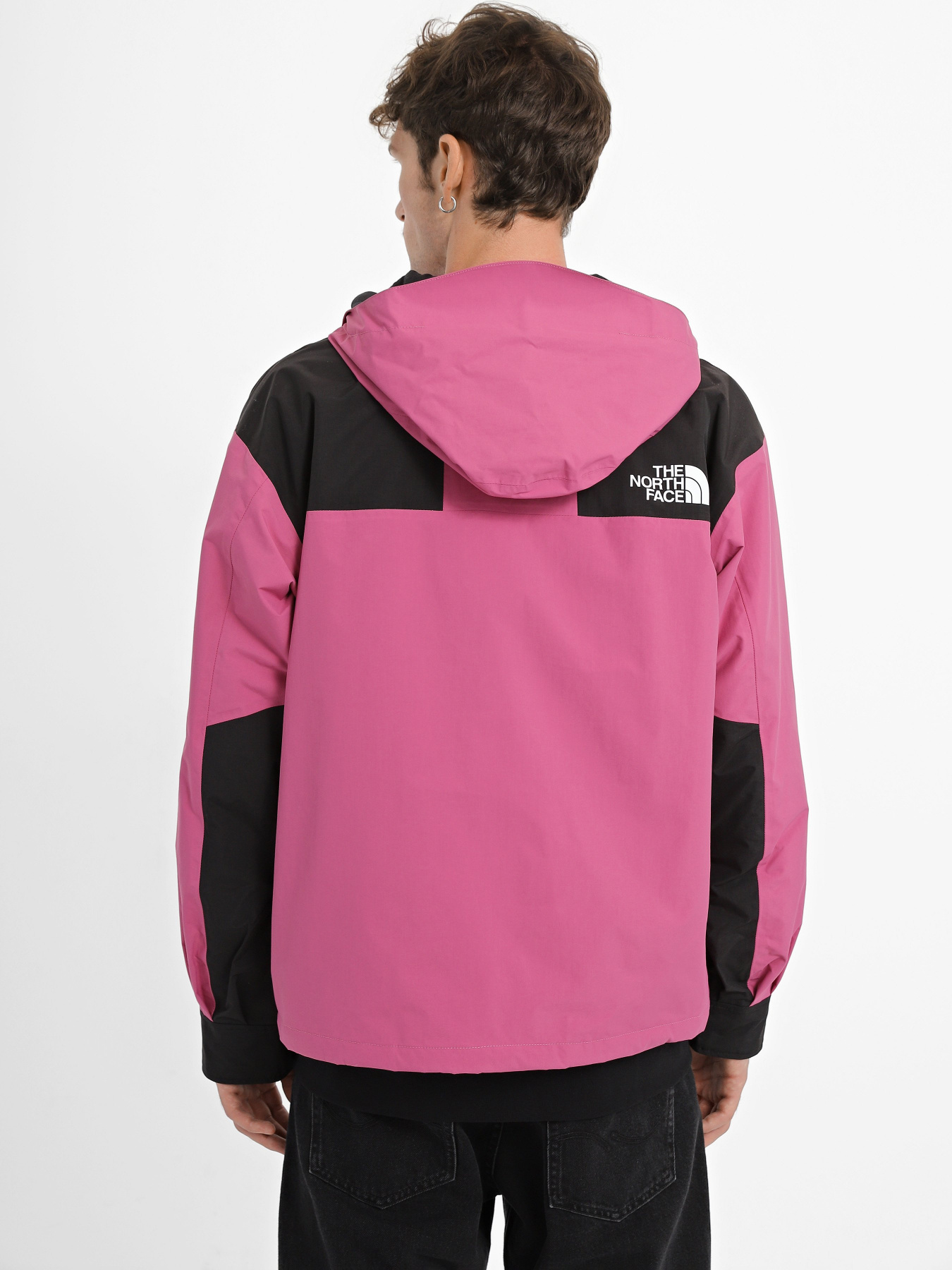 Демісезонна куртка The North Face 86 Retro модель NF0A7UR97481 Фото