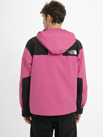 Демісезонна куртка The North Face 86 Retro модель NF0A7UR97481 Фото