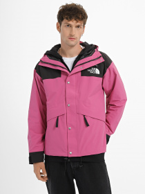 Демісезонна куртка The North Face 86 Retro модель NF0A7UR97481 Фото