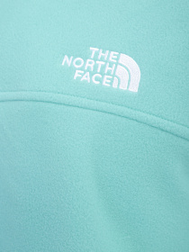 Світшот The North Face TKA Mockneck модель NF0A7URC6R71 Фото