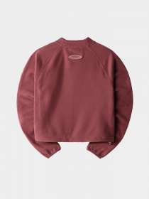 Свитшот The North Face TKA Mock Neck модель NF0A7URD6R41 Фото